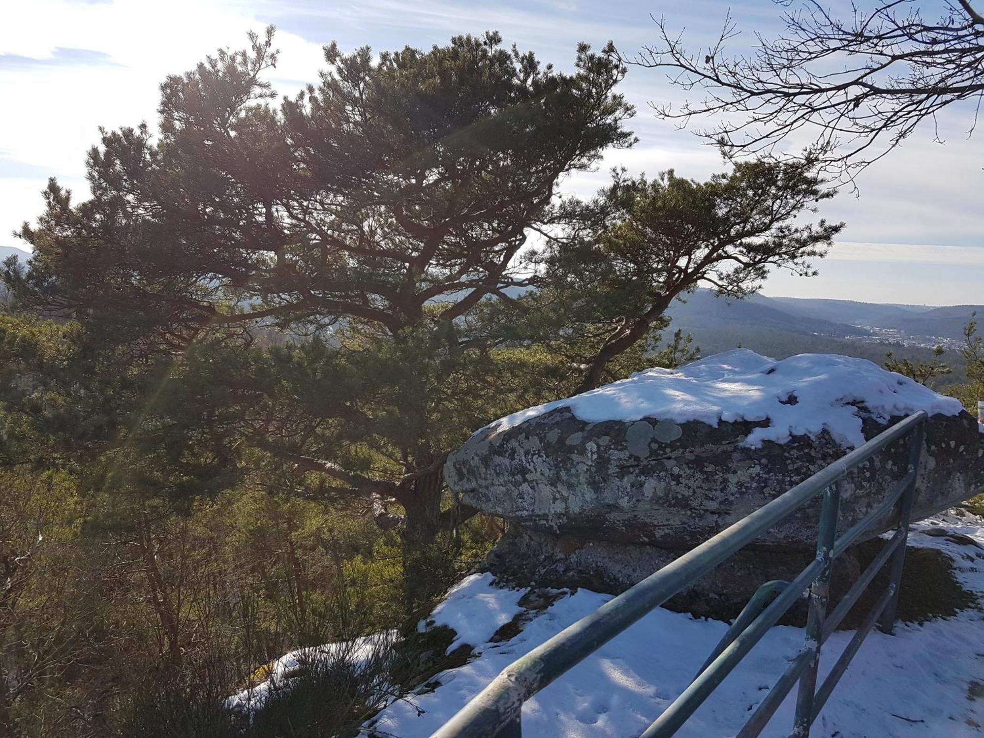 Ferienwohnung Waldliebe Hinterweidenthal Eksteriør billede